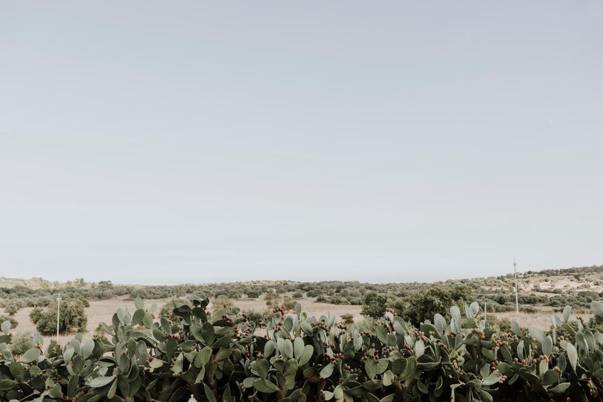 بالاتسولو أكريدي Bibbia- Tenuta Di Campagna المظهر الخارجي الصورة